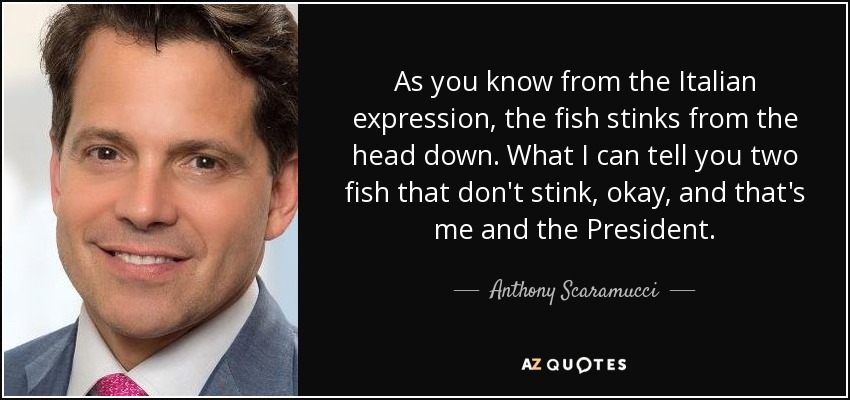 As you know from the Italian expression, the fish stinks from the head down. What I can tell you two fish that don't stink, okay, and that's me and the President. - Anthony Scaramucci
