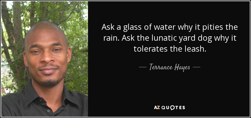 Ask a glass of water why it pities the rain. Ask the lunatic yard dog why it tolerates the leash. - Terrance Hayes