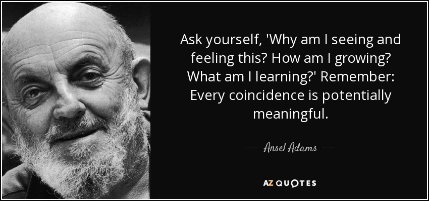 Ask yourself, 'Why am I seeing and feeling this? How am I growing? What am I learning?' Remember: Every coincidence is potentially meaningful. - Ansel Adams