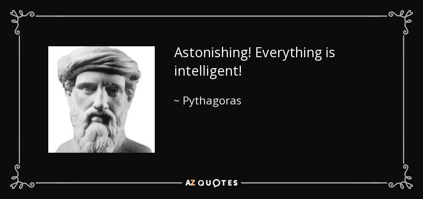 Astonishing! Everything is intelligent! - Pythagoras