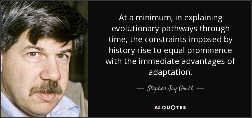 At a minimum, in explaining evolutionary pathways through time, the constraints imposed by history rise to equal prominence with the immediate advantages of adaptation. - Stephen Jay Gould