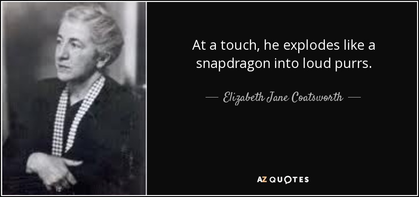 At a touch, he explodes like a snapdragon into loud purrs. - Elizabeth Jane Coatsworth