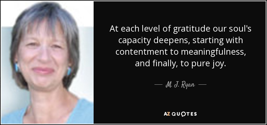 At each level of gratitude our soul's capacity deepens, starting with contentment to meaningfulness, and finally, to pure joy. - M. J. Ryan