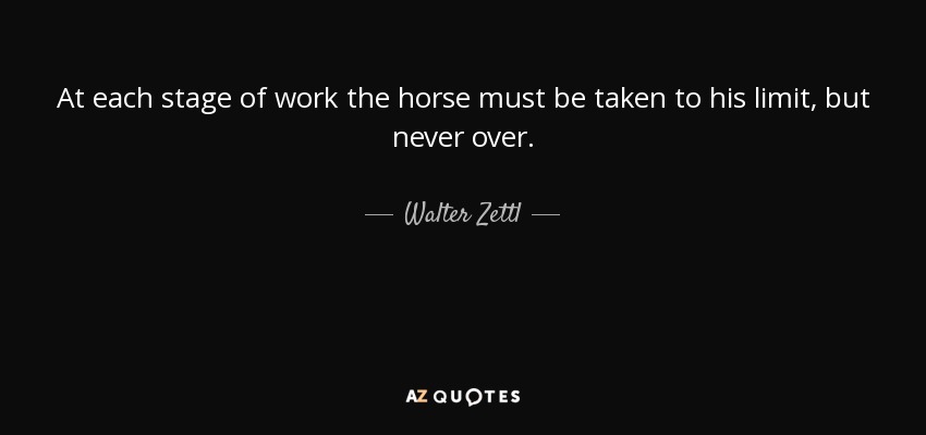 At each stage of work the horse must be taken to his limit, but never over. - Walter Zettl