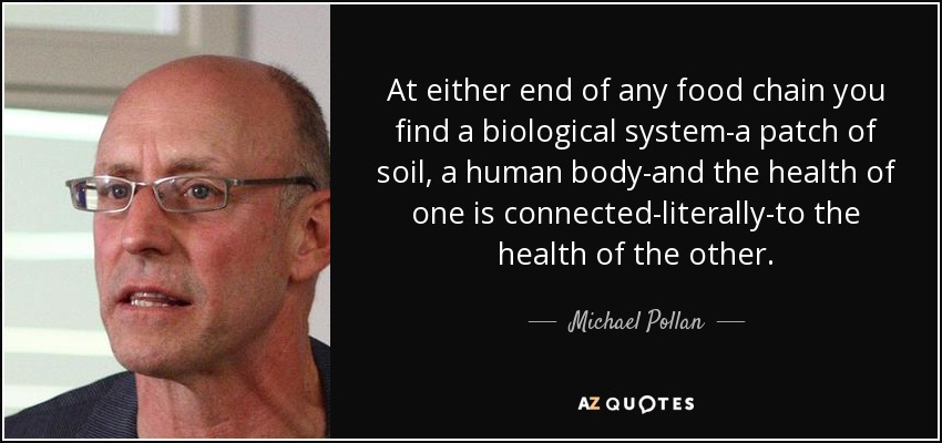 At either end of any food chain you find a biological system-a patch of soil, a human body-and the health of one is connected-literally-to the health of the other. - Michael Pollan