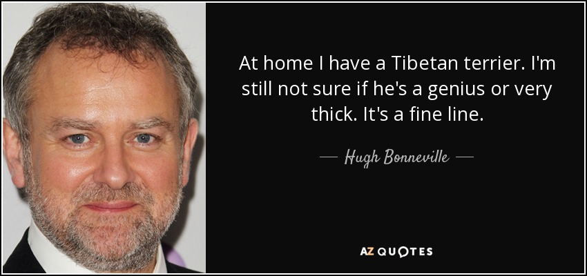 At home I have a Tibetan terrier. I'm still not sure if he's a genius or very thick. It's a fine line. - Hugh Bonneville