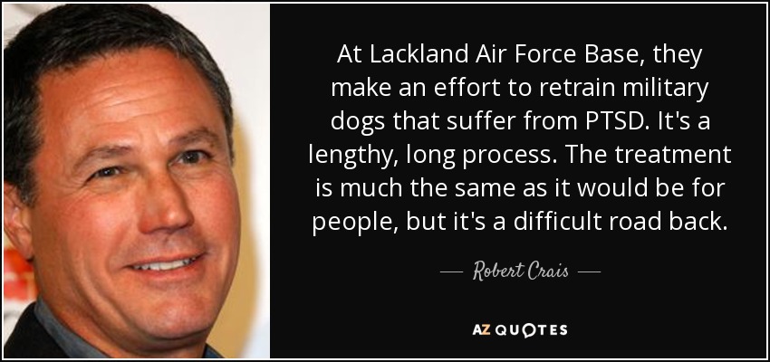 At Lackland Air Force Base, they make an effort to retrain military dogs that suffer from PTSD. It's a lengthy, long process. The treatment is much the same as it would be for people, but it's a difficult road back. - Robert Crais
