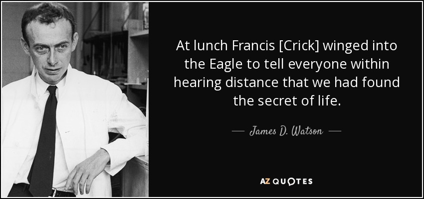 At lunch Francis [Crick] winged into the Eagle to tell everyone within hearing distance that we had found the secret of life. - James D. Watson
