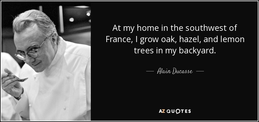 At my home in the southwest of France, I grow oak, hazel, and lemon trees in my backyard. - Alain Ducasse