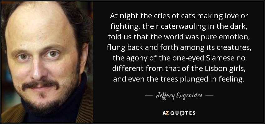 At night the cries of cats making love or fighting, their caterwauling in the dark, told us that the world was pure emotion, flung back and forth among its creatures, the agony of the one-eyed Siamese no different from that of the Lisbon girls, and even the trees plunged in feeling. - Jeffrey Eugenides
