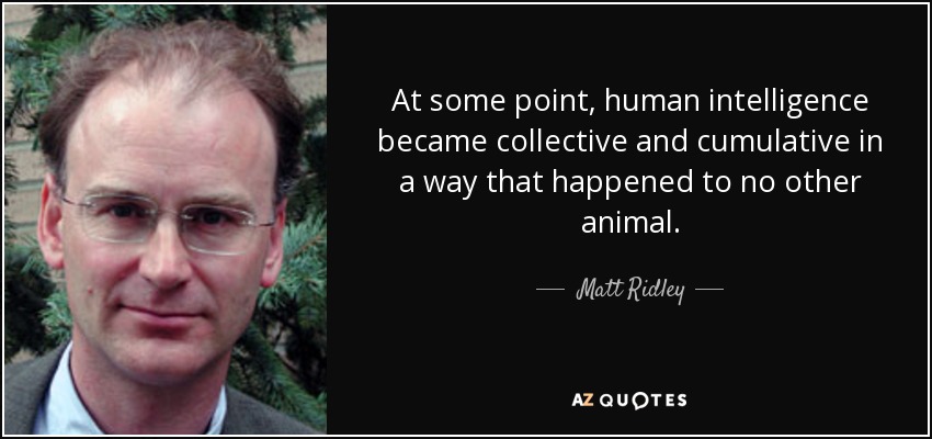 At some point, human intelligence became collective and cumulative in a way that happened to no other animal. - Matt Ridley