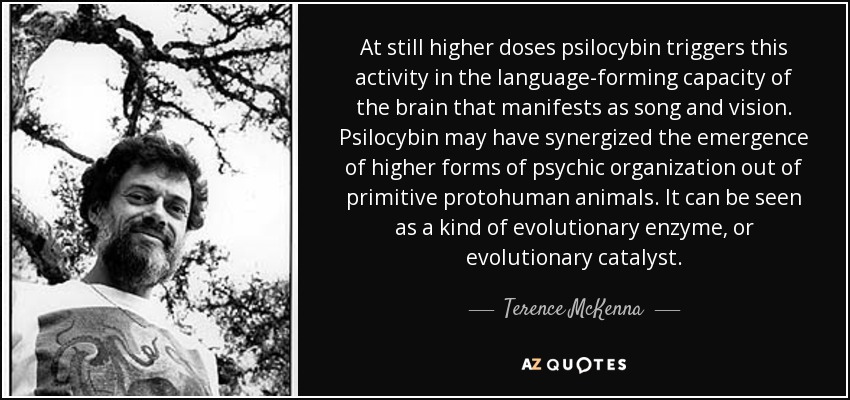 At still higher doses psilocybin triggers this activity in the language-forming capacity of the brain that manifests as song and vision. Psilocybin may have synergized the emergence of higher forms of psychic organization out of primitive protohuman animals. It can be seen as a kind of evolutionary enzyme, or evolutionary catalyst. - Terence McKenna