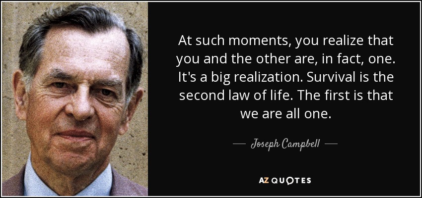 At such moments, you realize that you and the other are, in fact, one. It's a big realization. Survival is the second law of life. The first is that we are all one. - Joseph Campbell