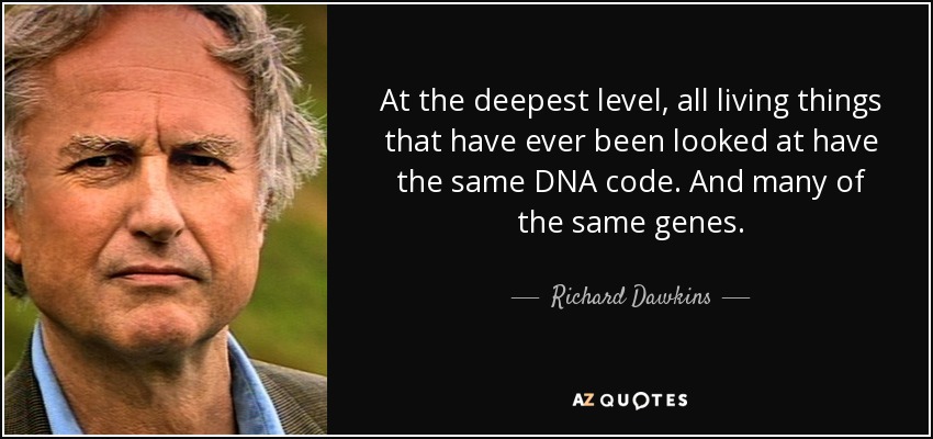 At the deepest level, all living things that have ever been looked at have the same DNA code. And many of the same genes. - Richard Dawkins