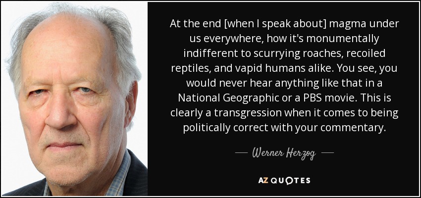 At the end [when I speak about] magma under us everywhere, how it's monumentally indifferent to scurrying roaches, recoiled reptiles, and vapid humans alike. You see, you would never hear anything like that in a National Geographic or a PBS movie. This is clearly a transgression when it comes to being politically correct with your commentary. - Werner Herzog