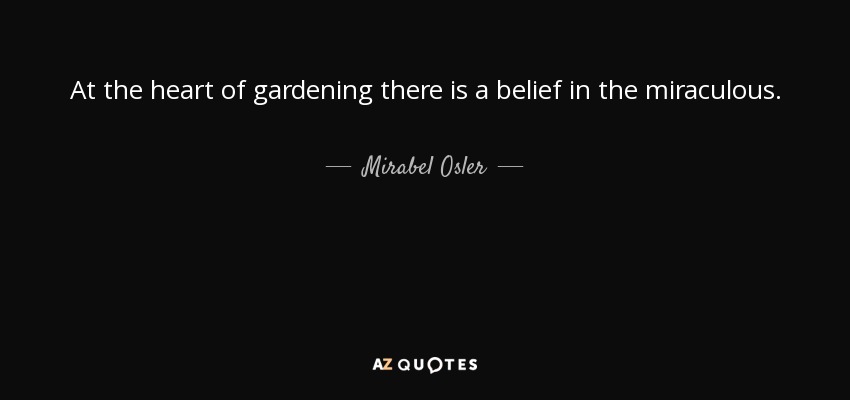 At the heart of gardening there is a belief in the miraculous. - Mirabel Osler