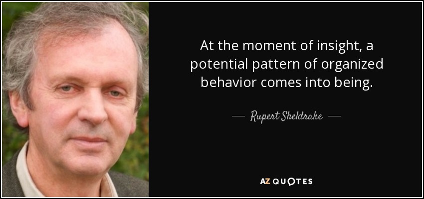 At the moment of insight, a potential pattern of organized behavior comes into being. - Rupert Sheldrake