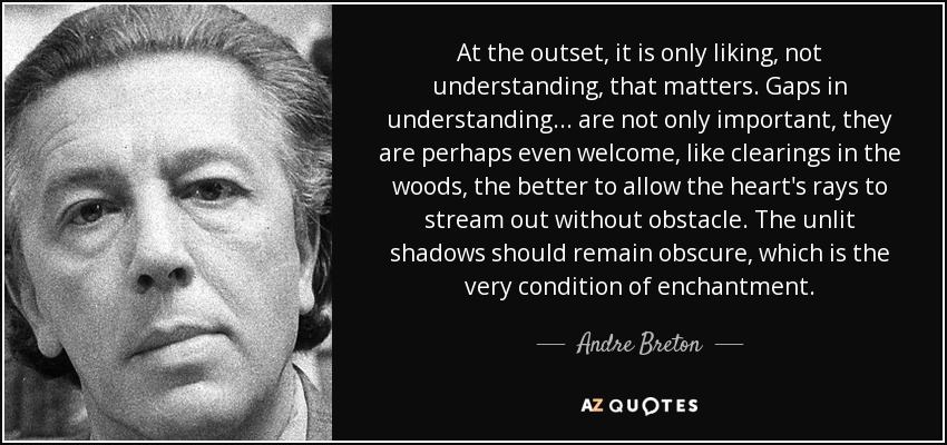 At the outset, it is only liking, not understanding, that matters. Gaps in understanding ... are not only important, they are perhaps even welcome, like clearings in the woods, the better to allow the heart's rays to stream out without obstacle. The unlit shadows should remain obscure, which is the very condition of enchantment. - Andre Breton