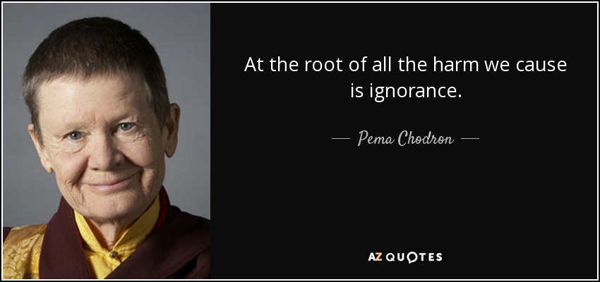 At the root of all the harm we cause is ignorance. - Pema Chodron