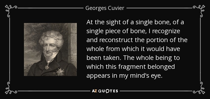 At the sight of a single bone, of a single piece of bone, I recognize and reconstruct the portion of the whole from which it would have been taken. The whole being to which this fragment belonged appears in my mind's eye. - Georges Cuvier