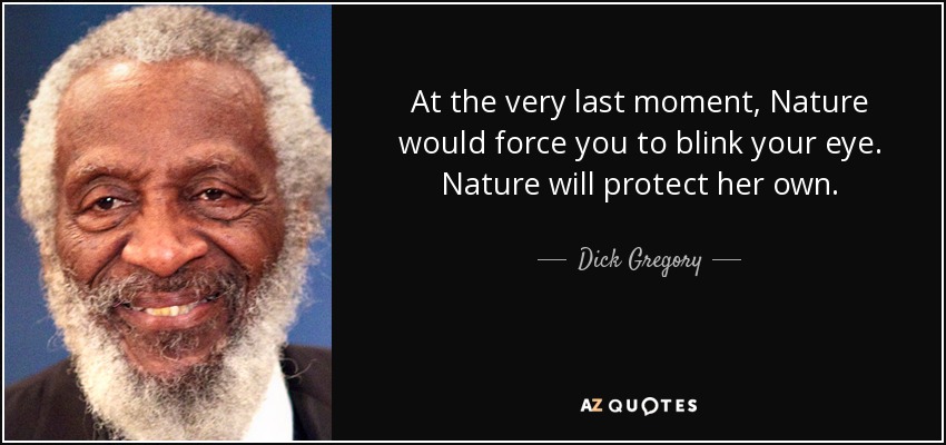 At the very last moment, Nature would force you to blink your eye. Nature will protect her own. - Dick Gregory
