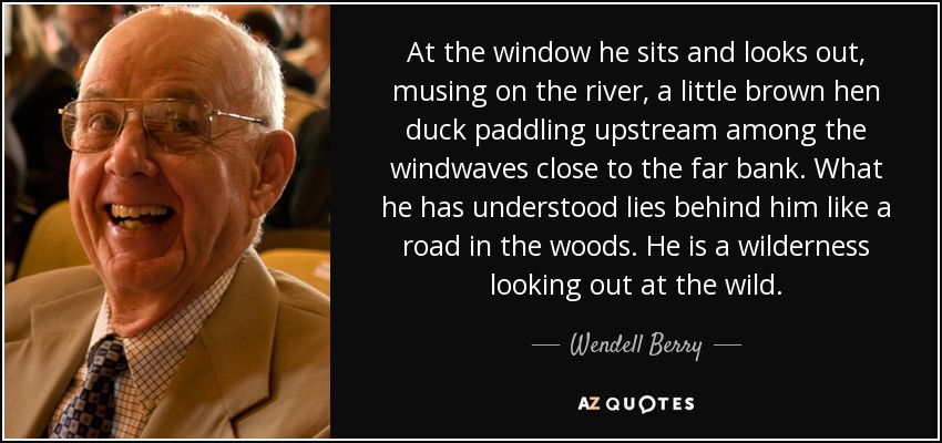 At the window he sits and looks out, musing on the river, a little brown hen duck paddling upstream among the windwaves close to the far bank. What he has understood lies behind him like a road in the woods. He is a wilderness looking out at the wild. - Wendell Berry