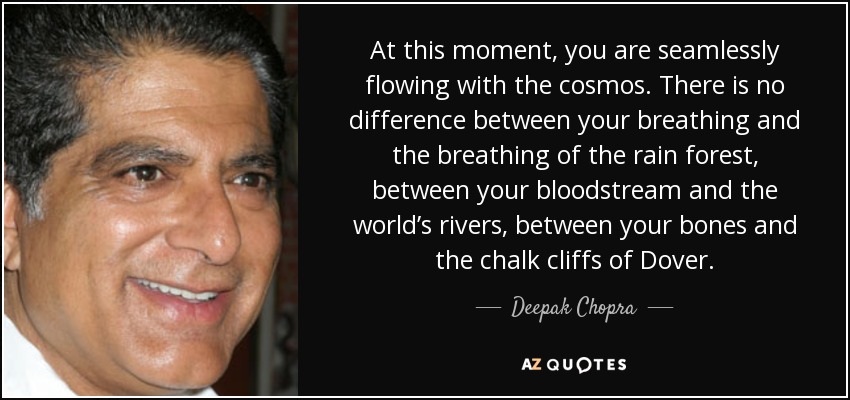 At this moment, you are seamlessly flowing with the cosmos. There is no difference between your breathing and the breathing of the rain forest, between your bloodstream and the world’s rivers, between your bones and the chalk cliffs of Dover. - Deepak Chopra