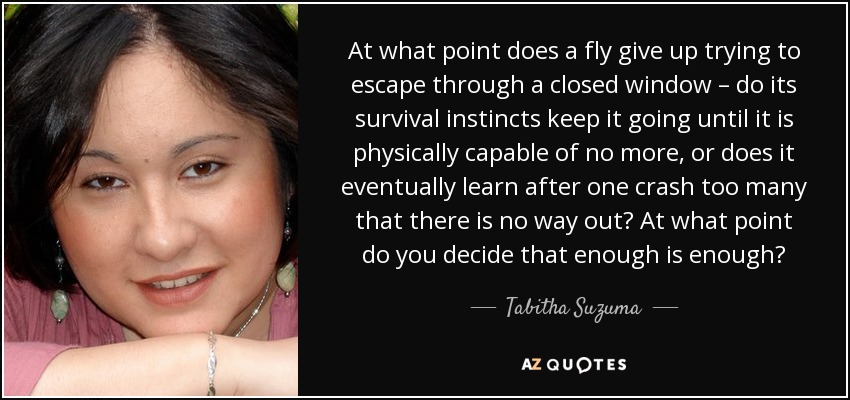 At what point does a fly give up trying to escape through a closed window – do its survival instincts keep it going until it is physically capable of no more, or does it eventually learn after one crash too many that there is no way out? At what point do you decide that enough is enough? - Tabitha Suzuma