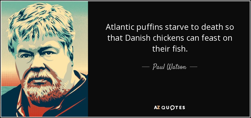 Atlantic puffins starve to death so that Danish chickens can feast on their fish. - Paul Watson