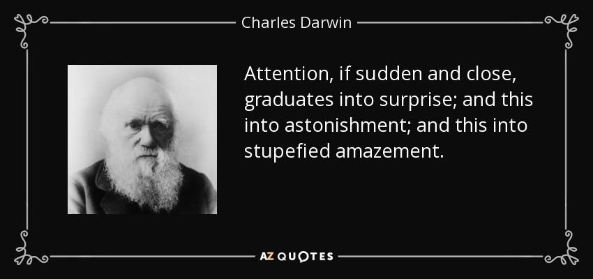 Attention, if sudden and close, graduates into surprise; and this into astonishment; and this into stupefied amazement. - Charles Darwin