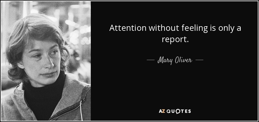Attention without feeling is only a report. - Mary Oliver