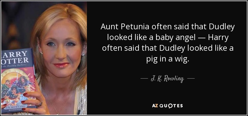 Aunt Petunia often said that Dudley looked like a baby angel — Harry often said that Dudley looked like a pig in a wig. - J. K. Rowling