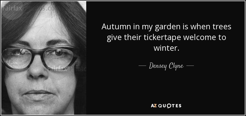 Autumn in my garden is when trees give their tickertape welcome to winter. - Densey Clyne