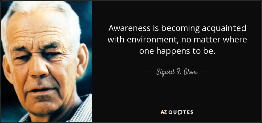 Awareness is becoming acquainted with environment, no matter where one happens to be. - Sigurd F. Olson