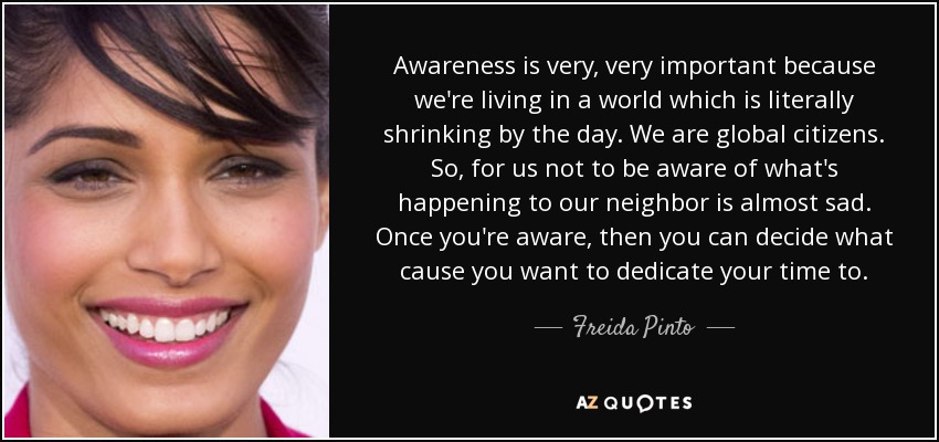 Awareness is very, very important because we're living in a world which is literally shrinking by the day. We are global citizens. So, for us not to be aware of what's happening to our neighbor is almost sad. Once you're aware, then you can decide what cause you want to dedicate your time to. - Freida Pinto