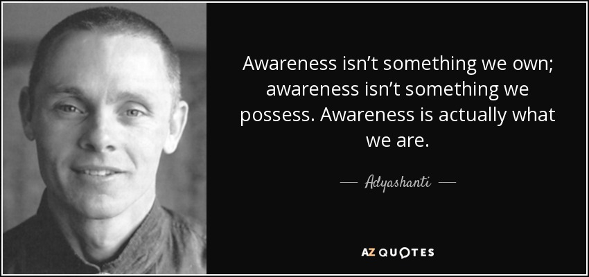 Awareness isn’t something we own; awareness isn’t something we possess. Awareness is actually what we are. - Adyashanti