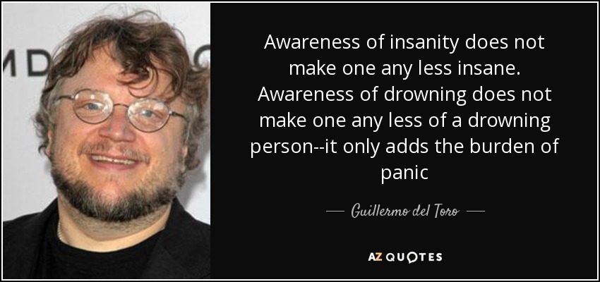 Awareness of insanity does not make one any less insane. Awareness of drowning does not make one any less of a drowning person--it only adds the burden of panic - Guillermo del Toro