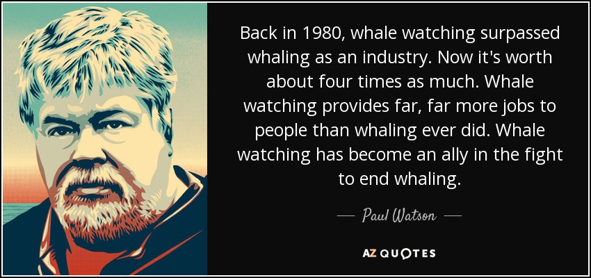 Back in 1980, whale watching surpassed whaling as an industry. Now it's worth about four times as much. Whale watching provides far, far more jobs to people than whaling ever did. Whale watching has become an ally in the fight to end whaling. - Paul Watson