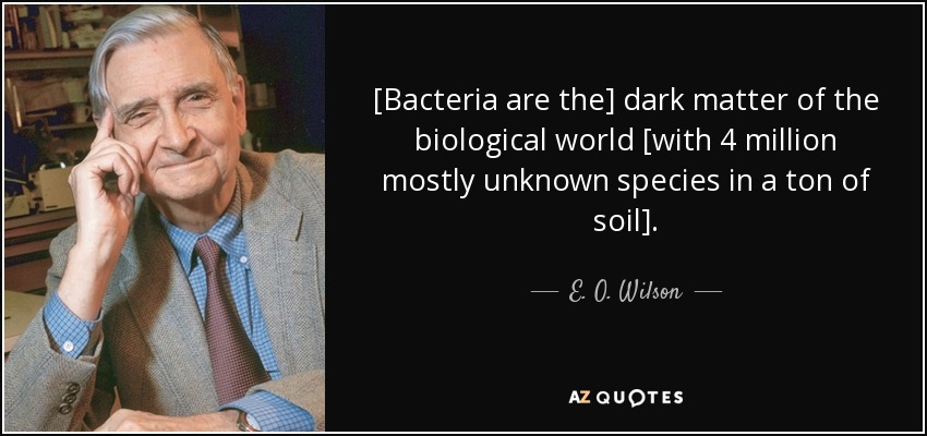 [Bacteria are the] dark matter of the biological world [with 4 million mostly unknown species in a ton of soil]. - E. O. Wilson