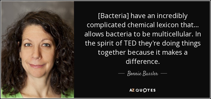 [Bacteria] have an incredibly complicated chemical lexicon that ... allows bacteria to be multicellular. In the spirit of TED they're doing things together because it makes a difference. - Bonnie Bassler