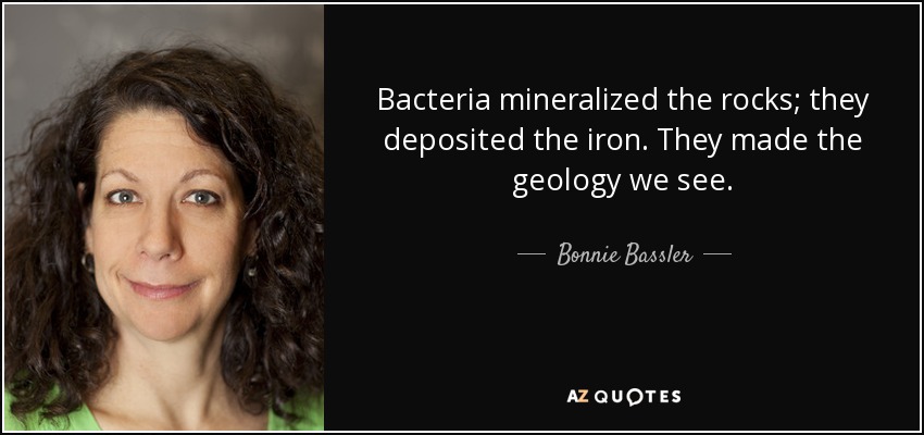 Bacteria mineralized the rocks; they deposited the iron. They made the geology we see. - Bonnie Bassler
