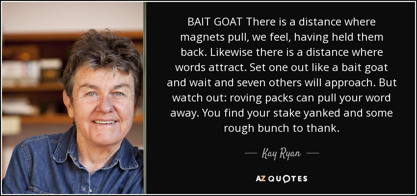 BAIT GOAT There is a distance where magnets pull, we feel, having held them back. Likewise there is a distance where words attract. Set one out like a bait goat and wait and seven others will approach. But watch out: roving packs can pull your word away. You find your stake yanked and some rough bunch to thank. - Kay Ryan