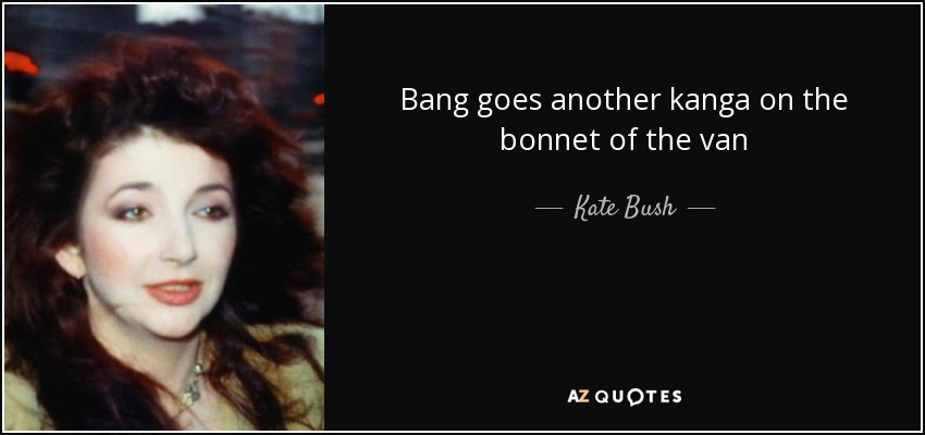 Bang goes another kanga on the bonnet of the van - Kate Bush