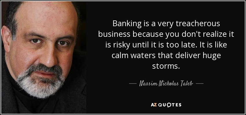 Banking is a very treacherous business because you don't realize it is risky until it is too late. It is like calm waters that deliver huge storms. - Nassim Nicholas Taleb