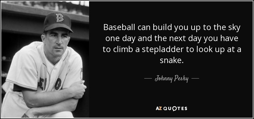 Baseball can build you up to the sky one day and the next day you have to climb a stepladder to look up at a snake. - Johnny Pesky