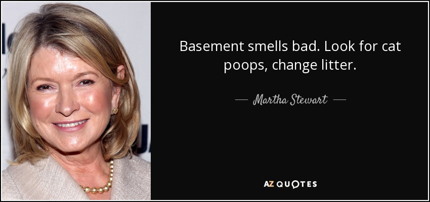 Basement smells bad. Look for cat poops, change litter. - Martha Stewart