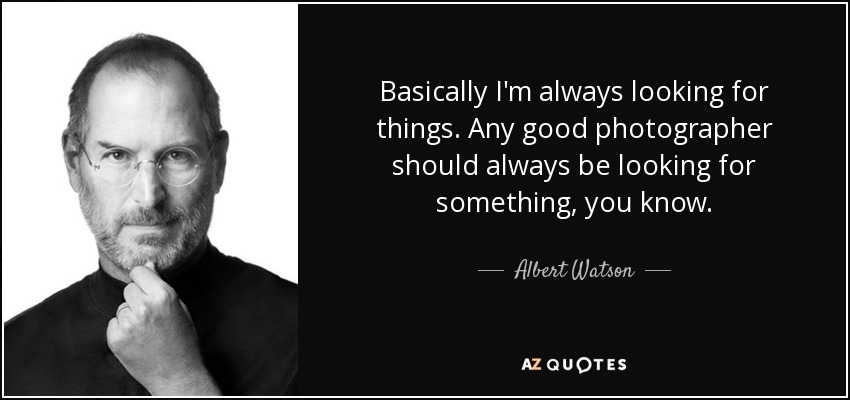 Basically I'm always looking for things. Any good photographer should always be looking for something, you know. - Albert Watson