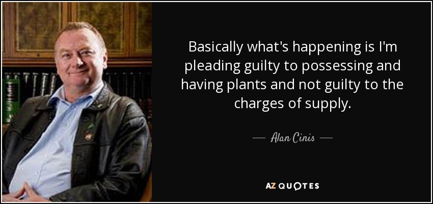 Basically what's happening is I'm pleading guilty to possessing and having plants and not guilty to the charges of supply. - Alan Cinis