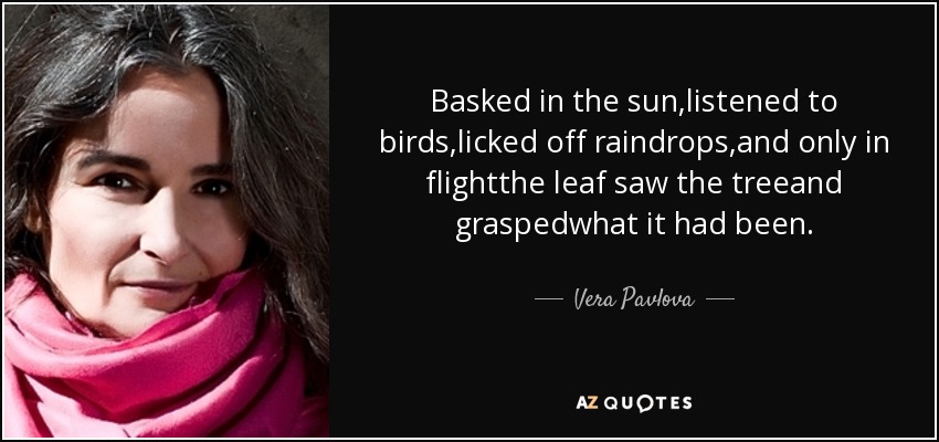 Basked in the sun,listened to birds,licked off raindrops,and only in flightthe leaf saw the treeand graspedwhat it had been. - Vera Pavlova