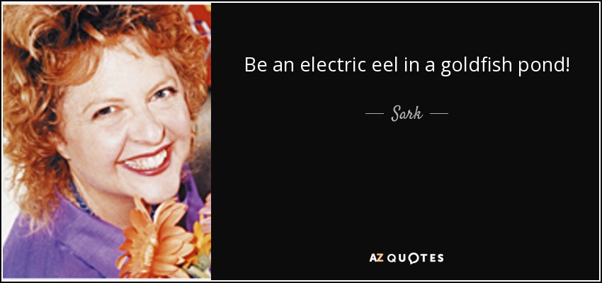 Be an electric eel in a goldfish pond! - Sark